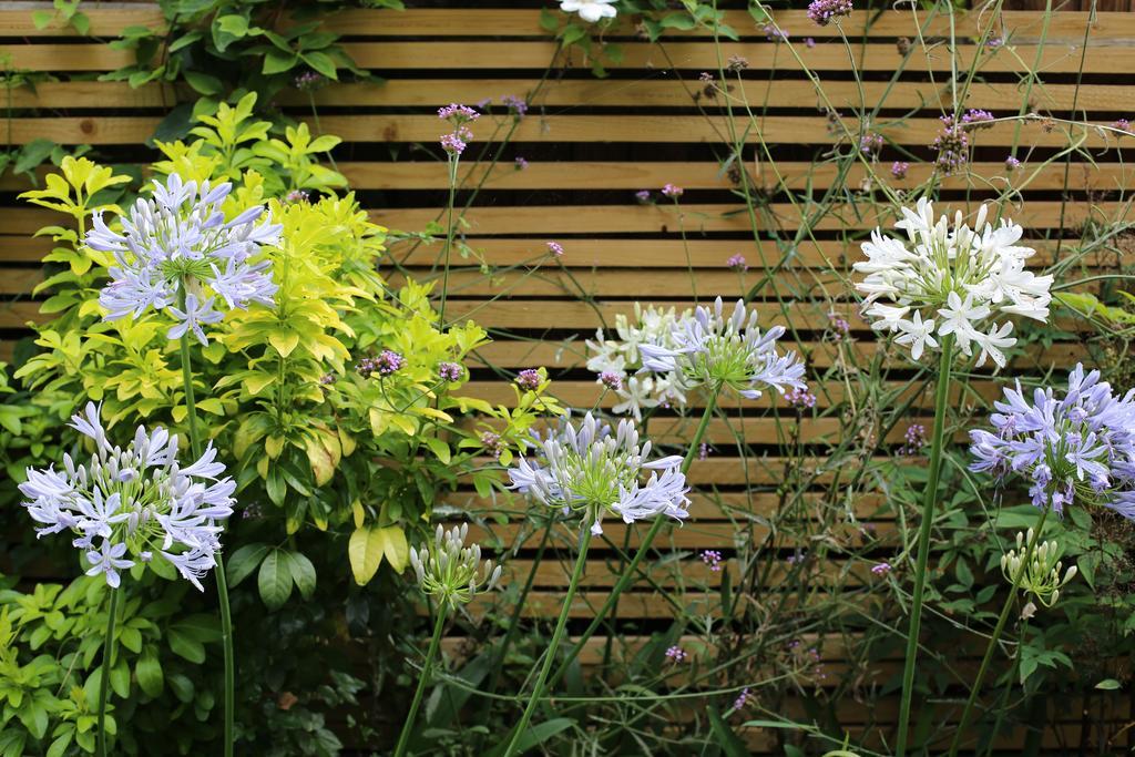Shoreditch 1 With Garden 런던 객실 사진